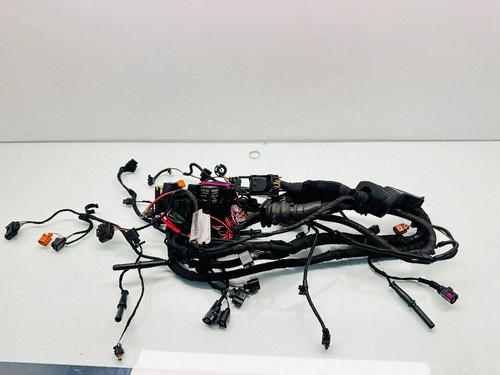 Engine installation wiring loom