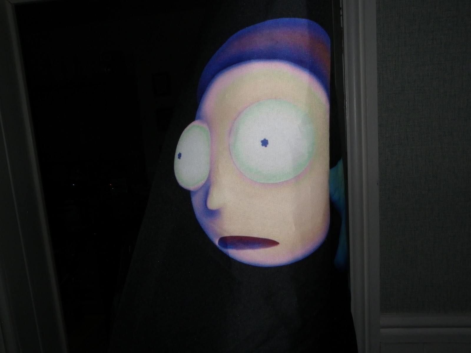 Rick and Morty x Members Only Bomber Jacket -LARGE - Adult Swim - Rare image 9