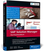 René Allissat / Sap Solution Manager9783836279185