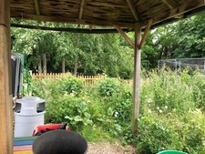 ✨ Garden Clearance – Fast & Affordable ✨