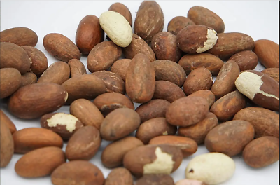 La noix de kola - Guide des Aliments de A à Z - France Minéraux