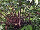 Bild 304 von 336