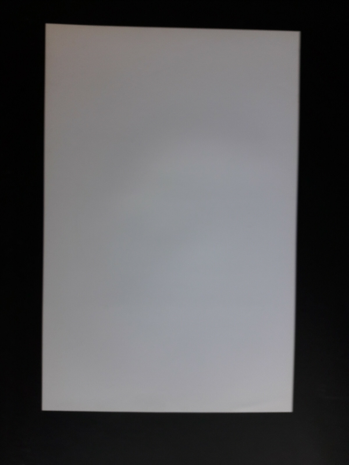 Audubon's Double Elephant Folio "Snowy Heron or White Egret" Print eBay