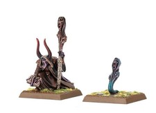 Esclavos de la Oscuridad Guerreros del Caos Hechicero con Metal Arcano Familiar