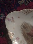 Rare Antique 3260 CARLSBAD AUSTRIA  FISH SET 1 PLATTER AND 11 Plates (12 pc set) — photo 6