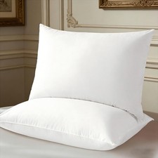 2 Pack Shilucheng Goose Feather Down Pillows 20" x 30" - White NEW See Box 