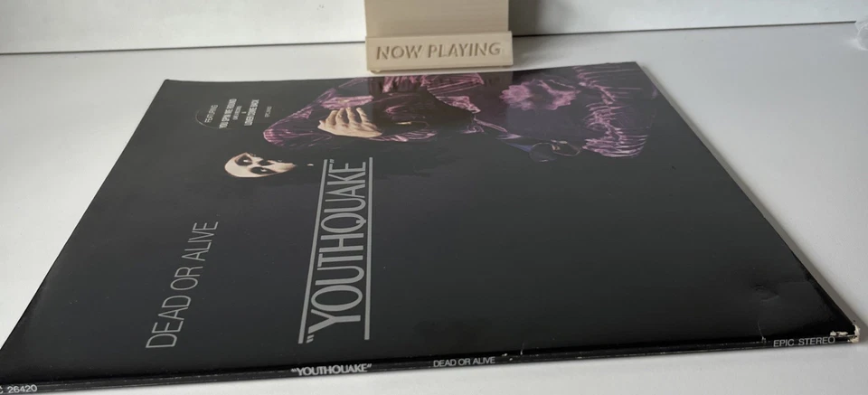 DEAD OR ALIVE YOUTHQUAKE Vinyl LP A1/B1 Pressing ALBUM Vgc You Spin Me Round - Image 3 of 4