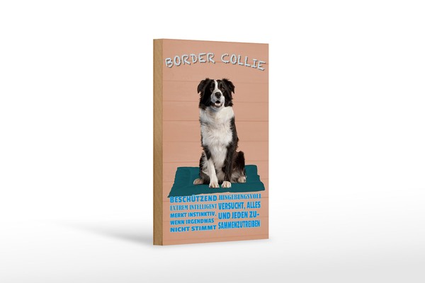 Holzschild Spruch 12X18 Cm Border Collie Hund Intelligent Deko Schild-image