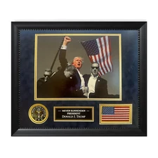 President Donald J. Trump Assassination Attempt Photograph Framed To 16x20 USA