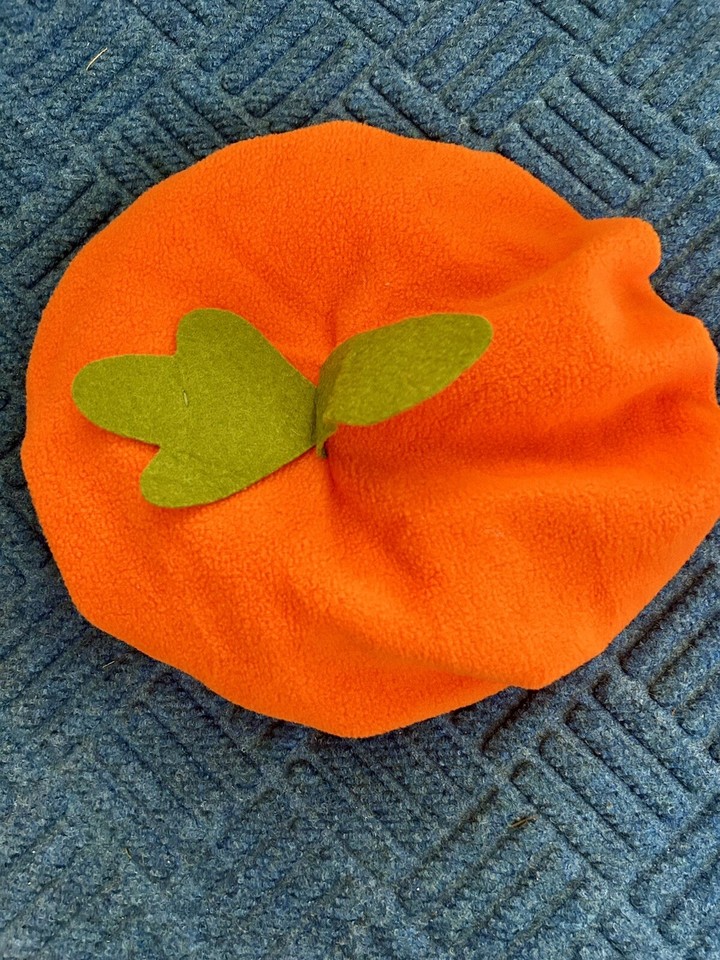 Pottery Barn Kids Pumpkin Halloween Costume Size 1224 Months with Hat