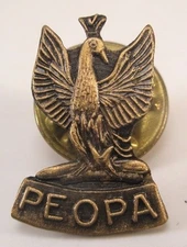 Peacock PEOPA Bird Vintage Lapel Pin/Tie Tack crown tufted s111