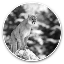 2 x Vinyl Stickers 15cm (bw) - Cougar Mountain Lion Puma Cat  #42738