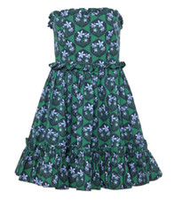 Agua Bendita Rosa Mini Dress Womens Large Floral Fairy Ruffle Party Whimsy NWT