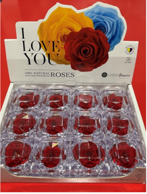 Ice Dry Real Red Rose