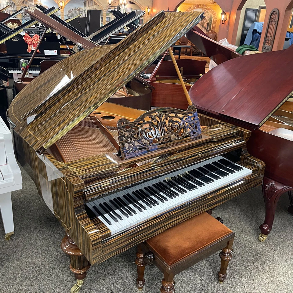 De colección Bösendorfer 5'7" salón de cola con sistema de reproductor de coeficiente intelectual de piano Foto 2 de 4