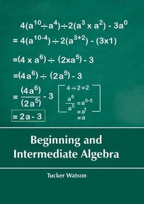 Beginning and Intermediate Algebra (Gebundene Ausgabe) (US IMPORT)