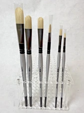 ZEM Oil Paint Set 6 pcs White Hog Bristle Filbert Brushes 0-10--UNUSED SEE PHOTO