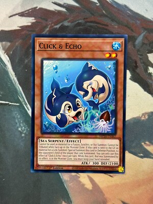 Yugioh Click & Echo Common MP24