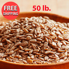 50 lb Bulk Supply NO SHELL Sunflower Seeds Unsalted Raw Restaurant Bakery - Keto