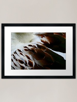 Liquid Feathers again Framed Art Pr Framed Wall Art Poster Canvas Print Picture