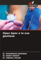 Rushikesh Gaikwad (U. A.) | Open Apex E La Sua Gestione | Taschenbuch (2024)