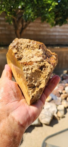 Mojave Desert Faced Premium Sagenite Rough 6"X4"X3" 4.2 Pounds See Video - Bild 3 von 7