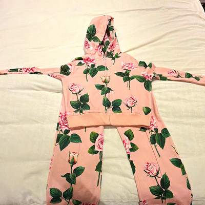 Dolce & Gabbana Girls 2pc Hoodie & Pants Set Pink/Green Floral Zip, Size 10