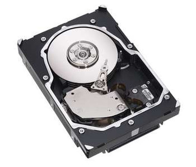 73 GB Seagate Cheetah Internal 10000 RPM 3.5 ST173404LCV