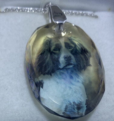 Deutscher Zeiger Hund Kristall Anhänger Sterlingsilber Ballen & Kette Danbury neuwertig