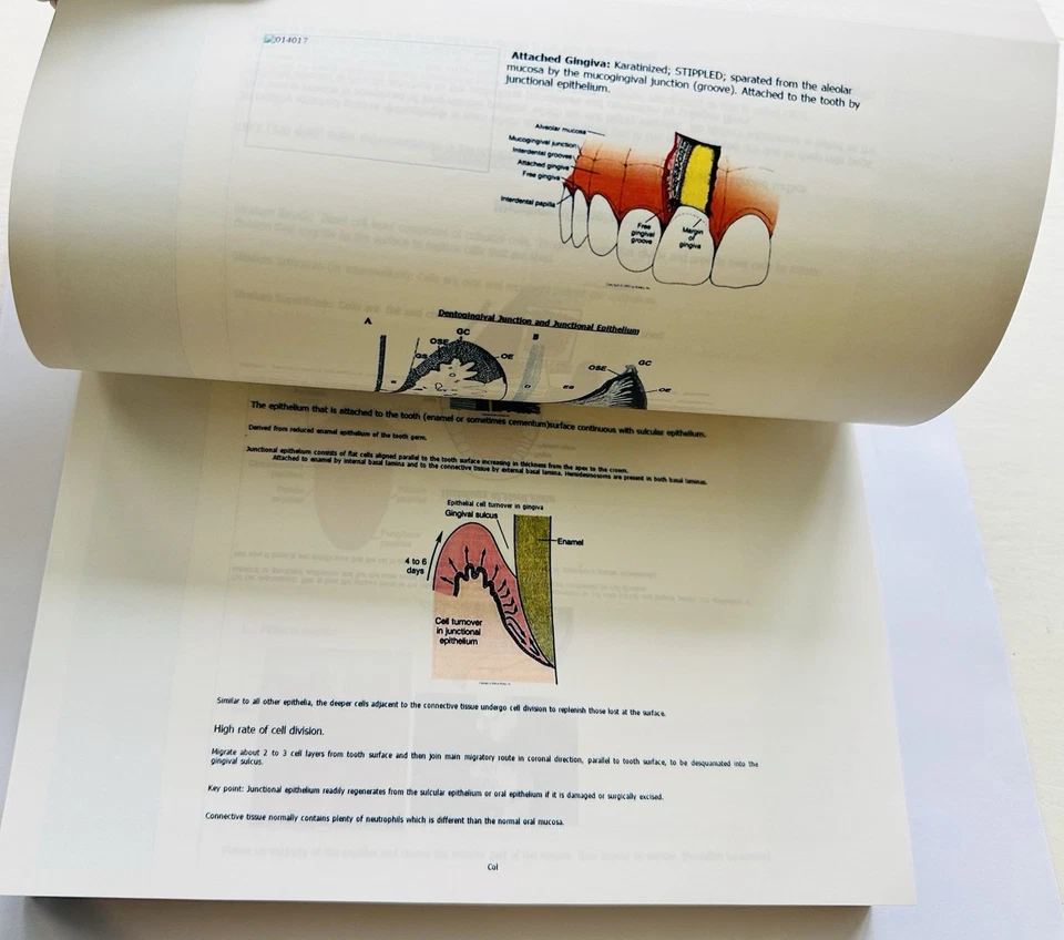 SAMSON NOTES BINDER /ORE/ LDS Preparation Book New Dental Exams - Image 2 of 3