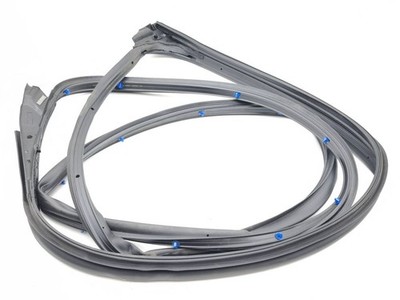 Nissan Juke II F16 2025 Rubber Gasket Front Right Door AMD240149