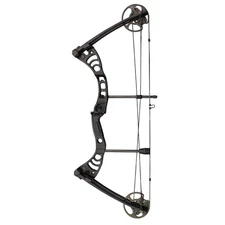 Southland Archery Supply SAS Scorpii 55 Lb 29 Compound Bow Archery Hunting