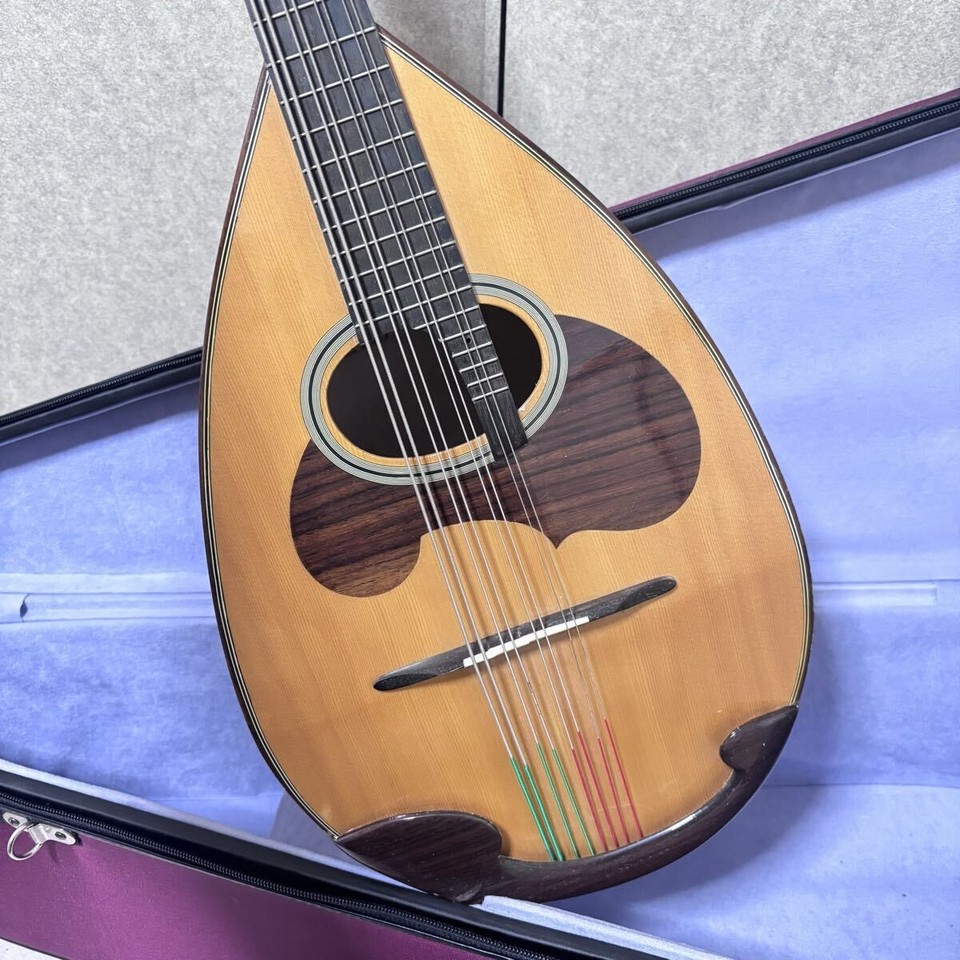 [Extremely Good Condition] SUZUKI Violin Mandola MD-8 String Instrument ...