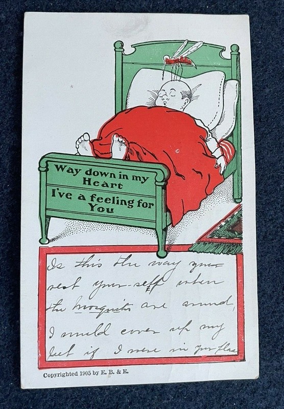 Humorous Postcard 1905 copyright