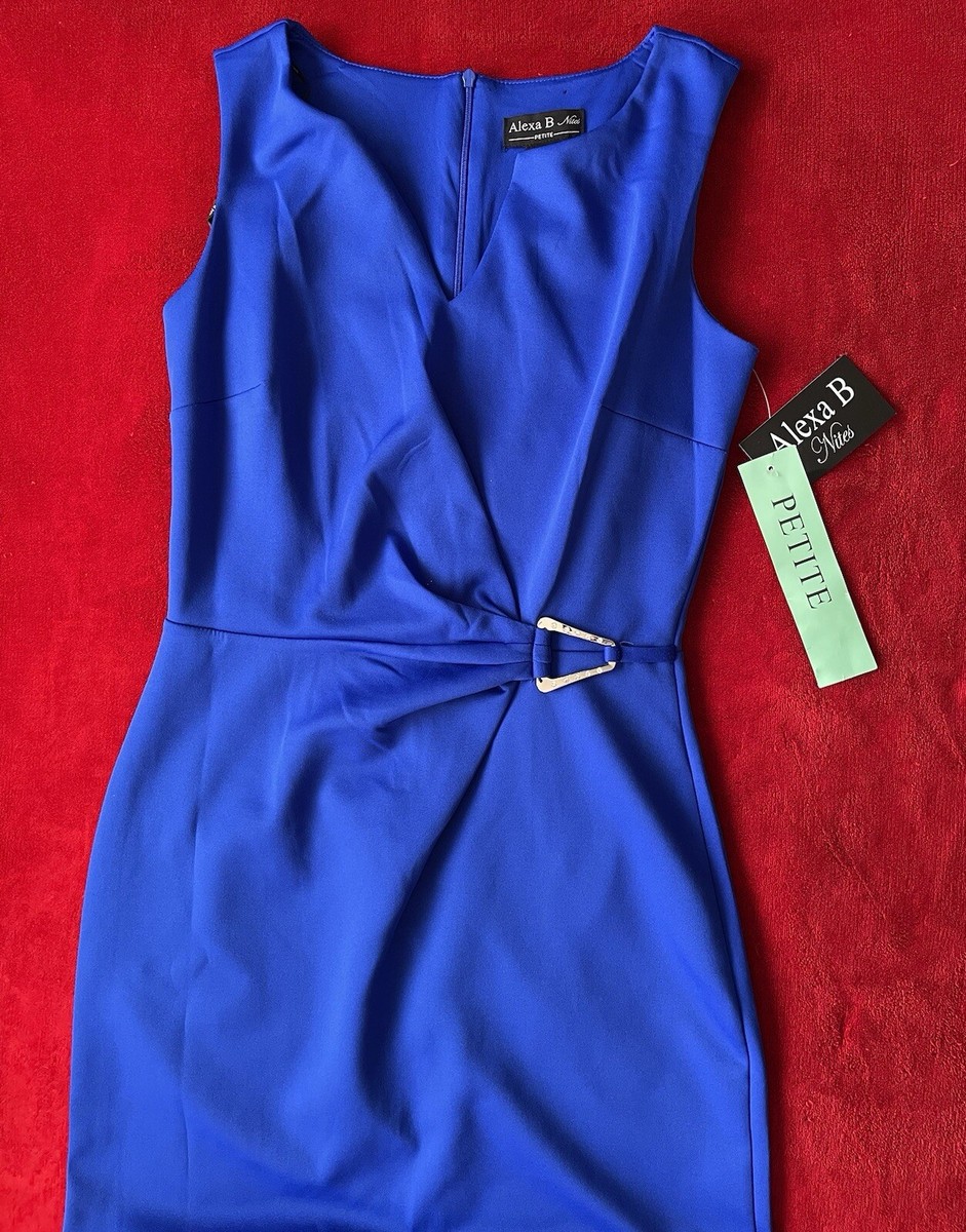 NWT Alexa B Nites Women's Sleeveless Back Zippered Royal Blue Long Dress  Sz: 6P | eBay