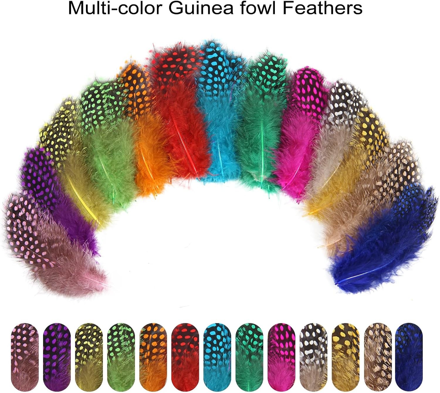 60 pcs Colored Spotted Feathers 2-3inch Bulk Small Guinea Fowl Polka Dot