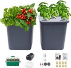 Hydroponics Growing System for Herbs Tomato Vegetables DWC System with Air Pump