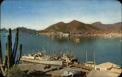 La Paz Baja California Sur Mexico vintage postcard m477