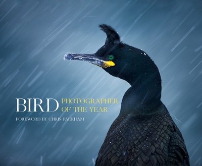 Bird Photographer of the Year by Bird Photographer of the Year 0008175233