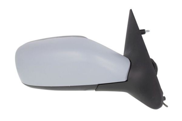 Right BLIC 5402-09-2002168P Exterior Mirror for RENAULT