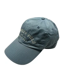 Vintage Wrigley Field Baseball Cap Blue Chicago Cubs MLB Twins Enterprise