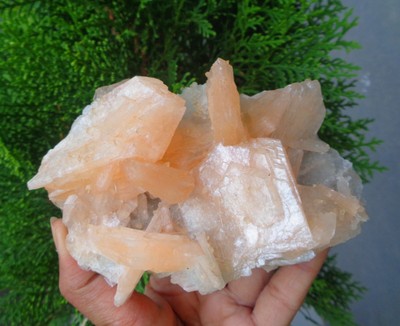 Stilbite Formation On Matrix Minerals Specimen #H59