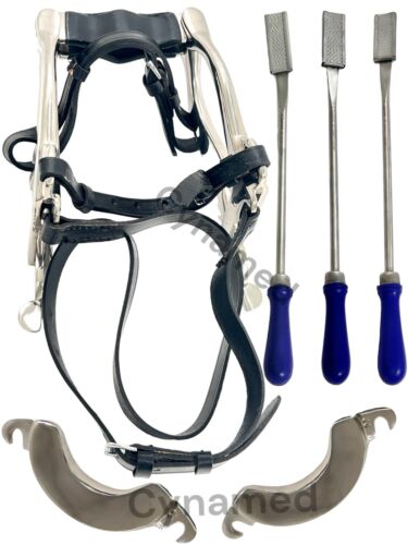 Equine Dental Kit Set McPherson Mund Spekulum Pferd Mund Knebel Float Rasp Set 3 - Bild 1 von 10