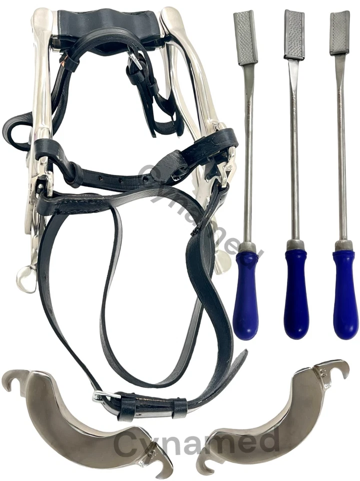 CYNAMED Equine Dental Kit Set McPherson Mouth Speculum Horse Mouth Gag Float Rasp set 3