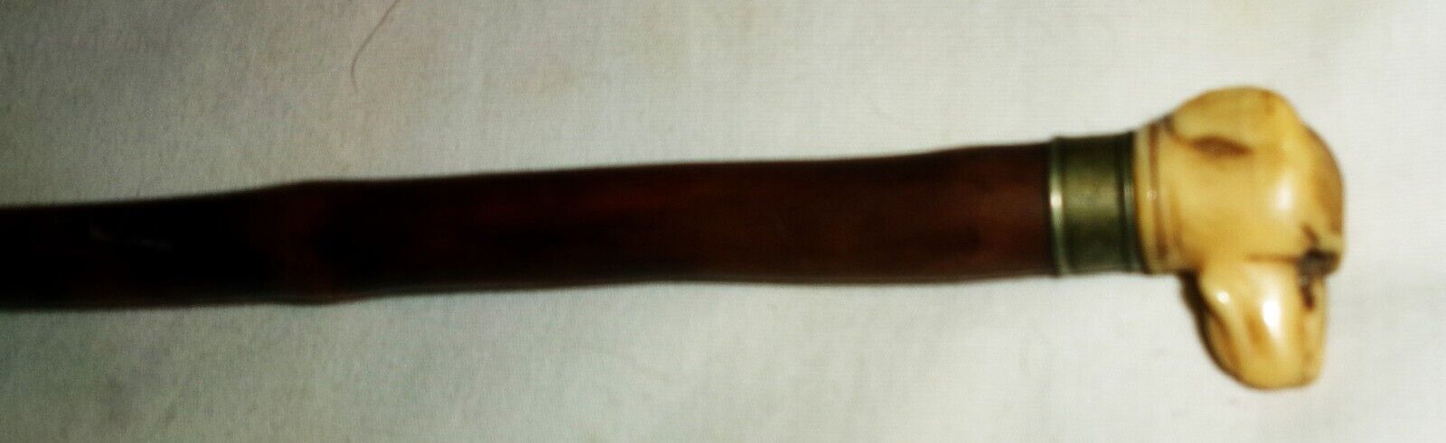 Picture 13 of 15