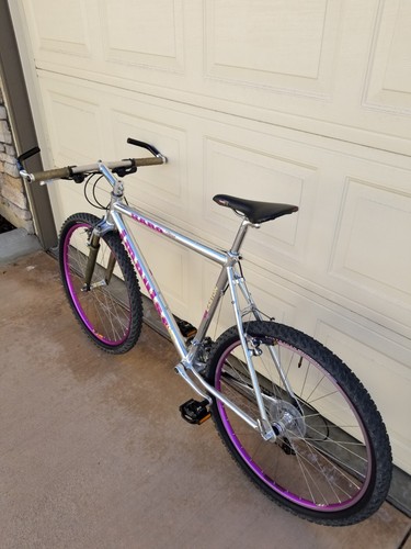 aceshin electric bike