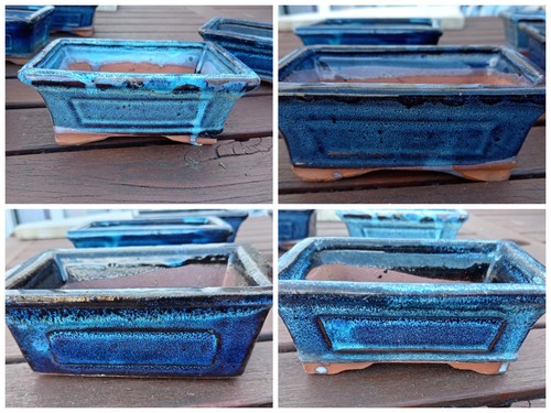 Blue Rectangular Glazed Bonsai pots 15 cm x 10 cm without drip tray - Picture 6 of 7