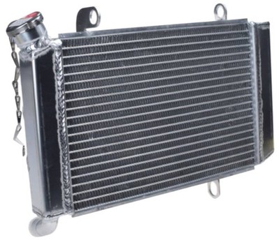 Kühler Wasserkühler Motorkühler für  SUZUKI LTZ 400 03-08 KAWASAKI KFX 400 03-07