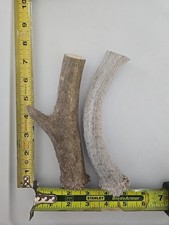 Deux bois de cerf à mâcher pour chien 7 à 8 pouces de long