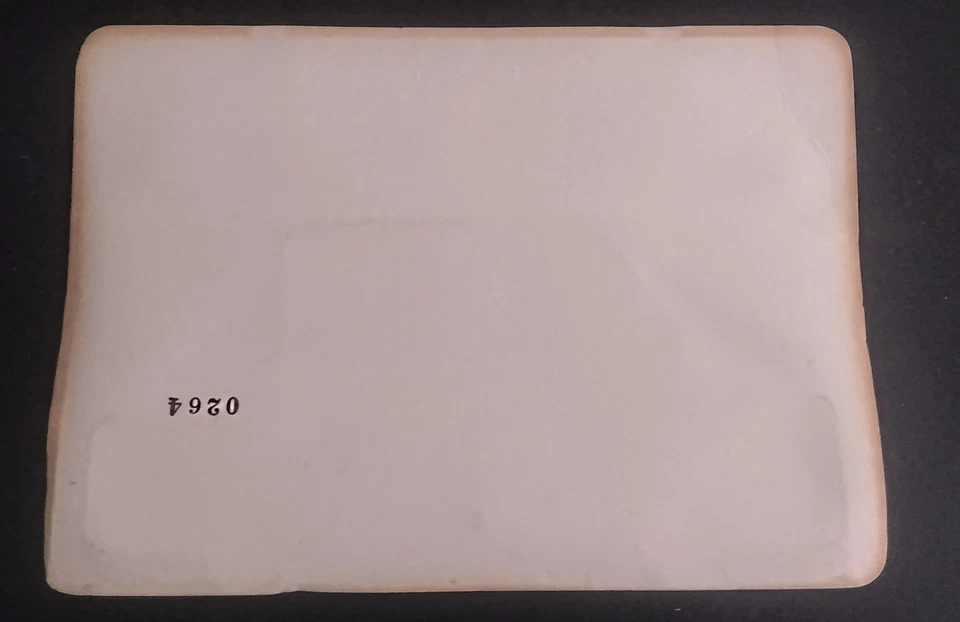 Juegos de carreras Ertl Hardees Road Runner de colección raros Foto 3 de 4